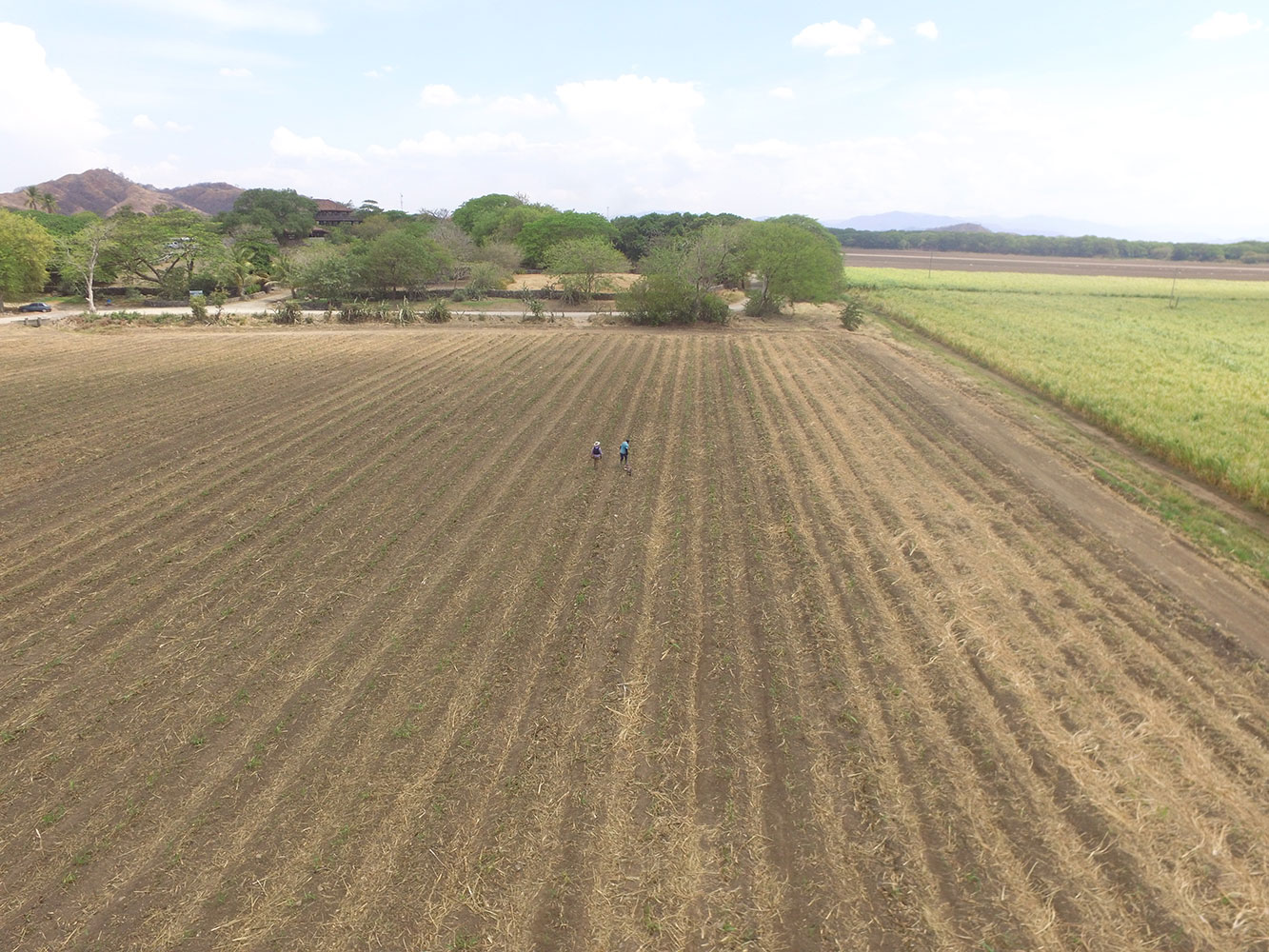 Trabajo de campo con el GPR en El Viejo