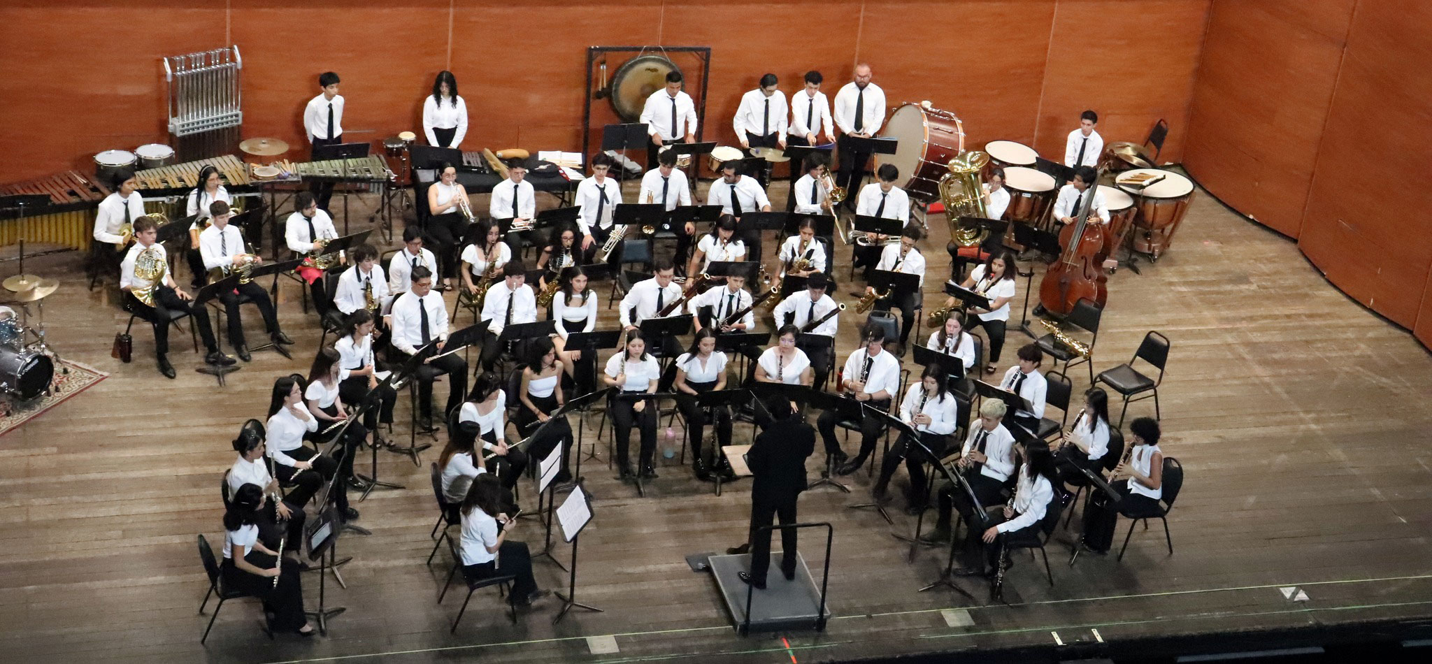 Orquesta Intermedia INM