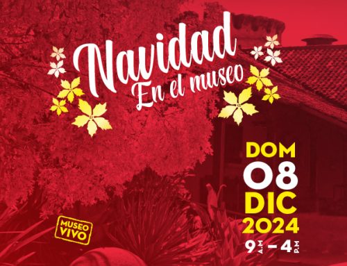 Navidad en el Museo 2024