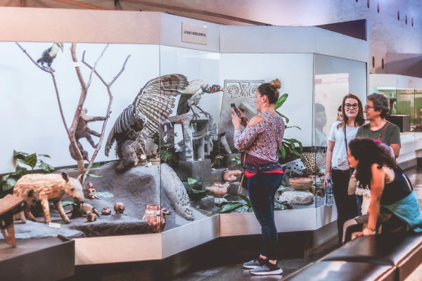 Historia Precolombina « Exhibiciones « Museo Nacional De Costa Rica